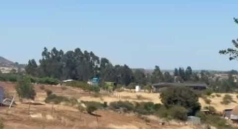 Terreno de lomas con árboles altos al fondo, algunas construcciones pequeñas y cielo despejado