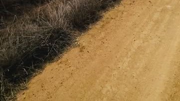 Camino de maicillo, de tierra anaranjada, junto a pasto seco